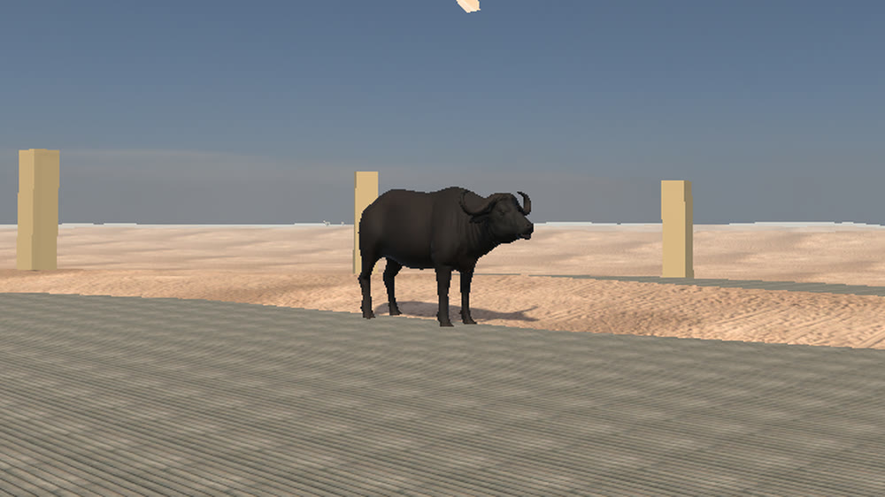 Marsh Buffalo
