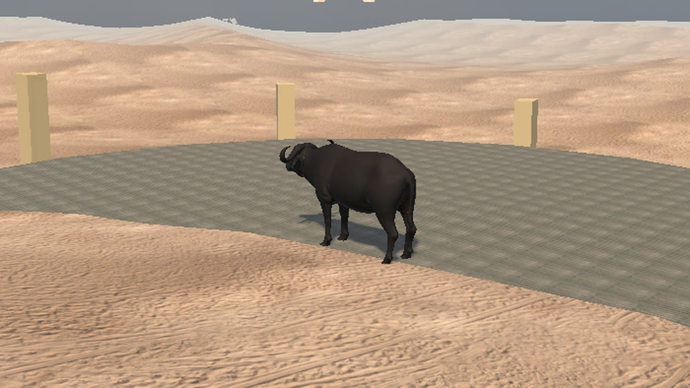Nile Buffalo