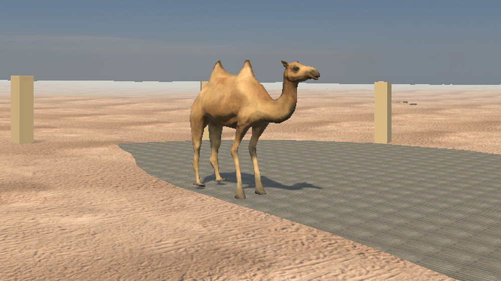 The Black Camel