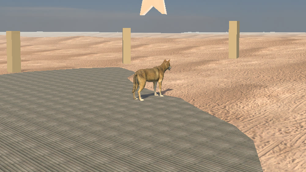 Hebron Wolf