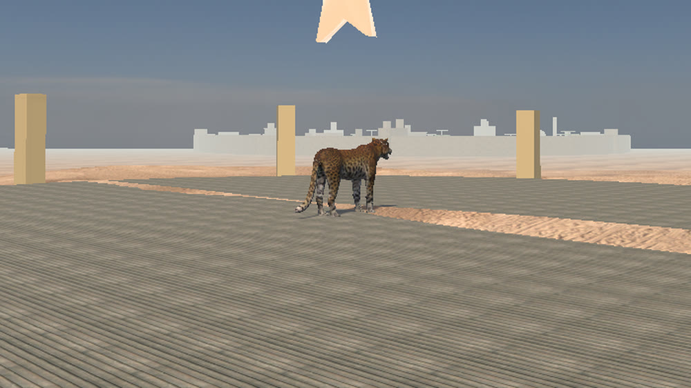 Arabian Leopard