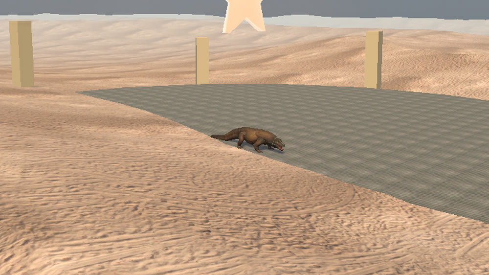 The Sand Monitor