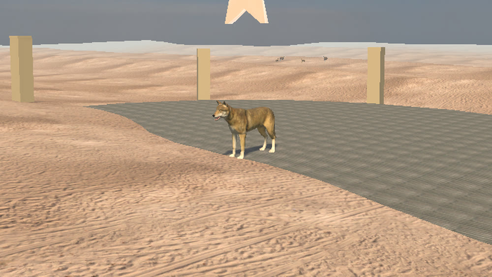Highland Wolf